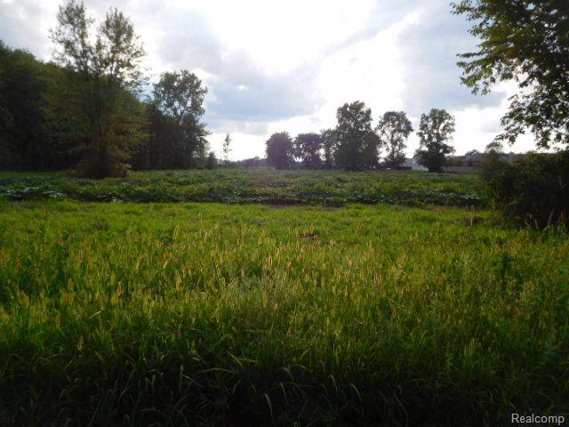 51910 S FOSTER Road, Chesterfield, MI 48047 — Photo 2