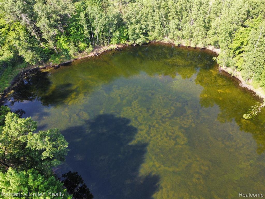VL Pondside Dr Lot 17, Farwell, MI 48622 — Photo 3