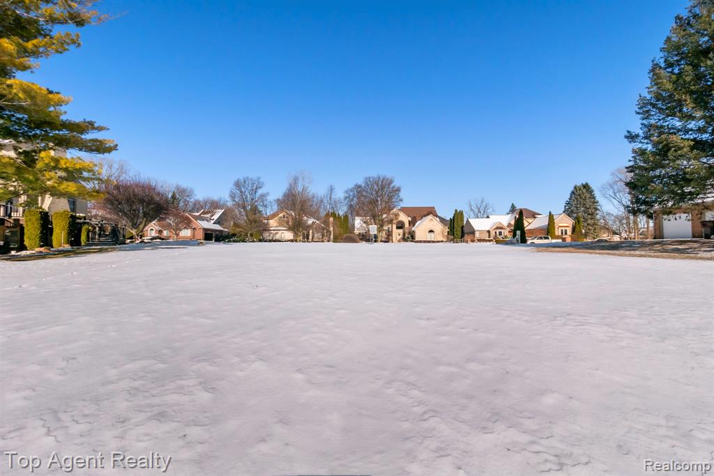 8804 Grace Street, Shelby Twp, MI 48317 — Photo 5