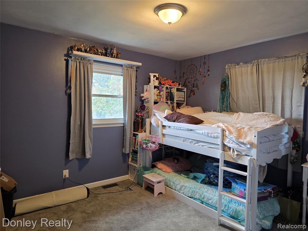 4053 Frenchline Road, Marlette, MI 48453 — Photo 24