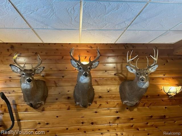 3597 LIPPINCOTT Road, Lapeer, MI 48446 — Photo 48