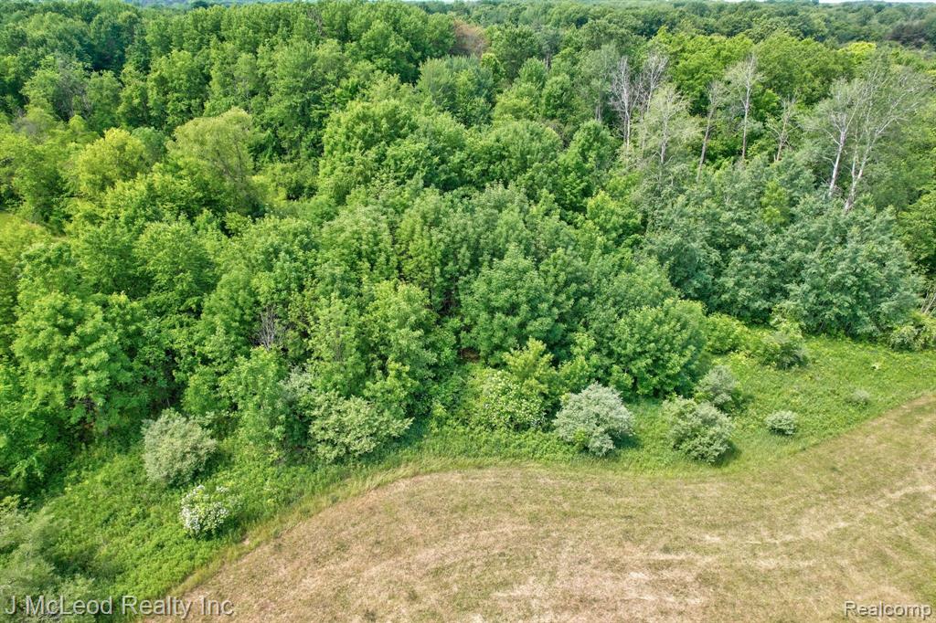 Parcel A CENTENNIAL Lane, Millington, MI 48746 — Photo 20