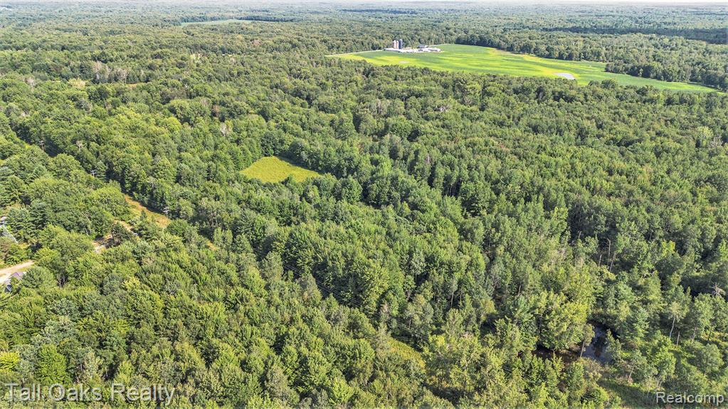 VL Caine Road, Vassar, MI 48768 — Photo 3