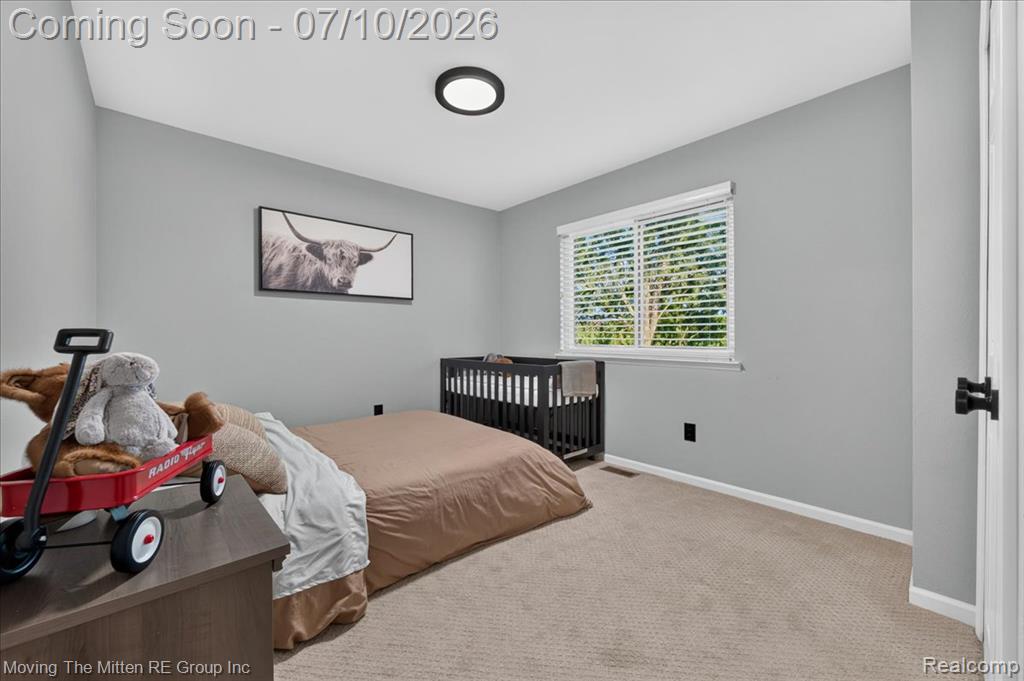 41575 Pheasant Creek Drive, Canton, MI 48188 — Photo 31