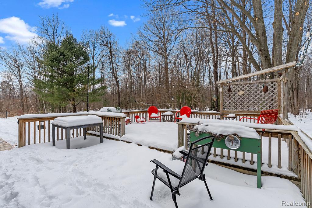 6318 Rynn Road, Clyde, MI 48049 — Photo 38