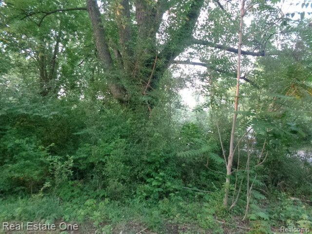 14549 DACOSTA Street, Detroit, MI 48223 — Photo 3