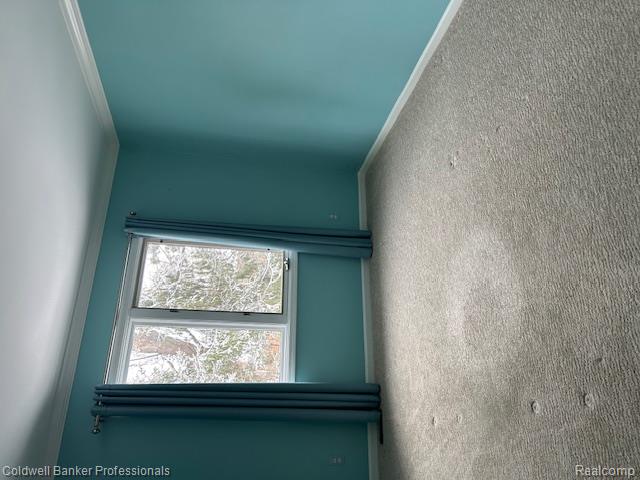 4896 Royal Cove Drive, Shelby Twp, MI 48316 — Photo 22