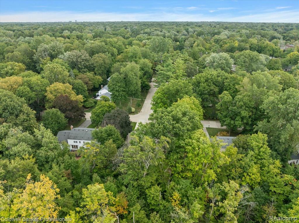 31307 Sleepy Hollow Lane, Franklin, MI 48025 — Photo 8