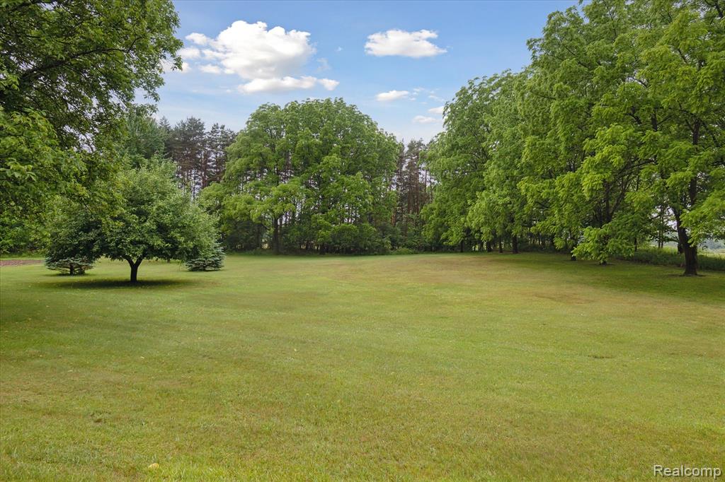 2057 W Brown Road, Mayville Vlg, MI 48744 — Photo 33