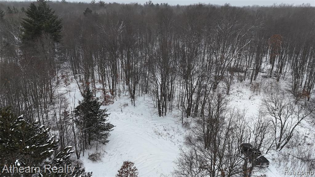 5785 Bringold, Lake, MI 48632 — Photo 5