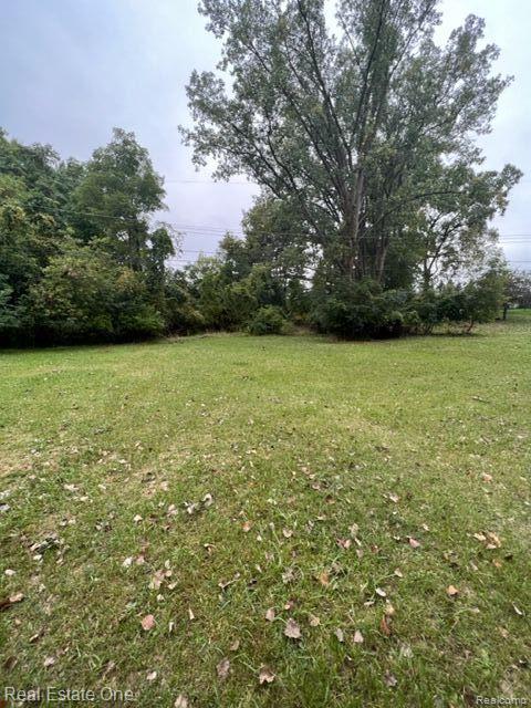 000,001,002,003 Walton - possible 4 home sites - Photo 3