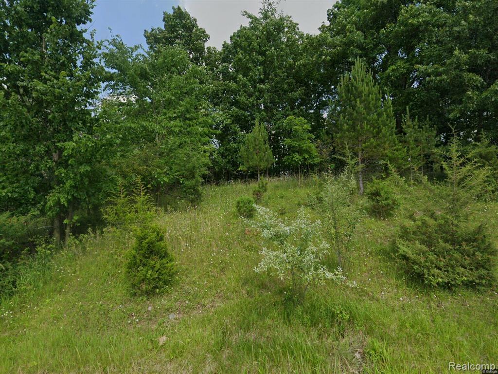 1465 McMillan Road, Owosso, MI 48867