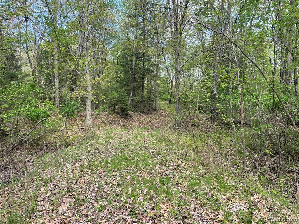 NA Oakridge Drive, Au Gres, MI 48703 — front exterior