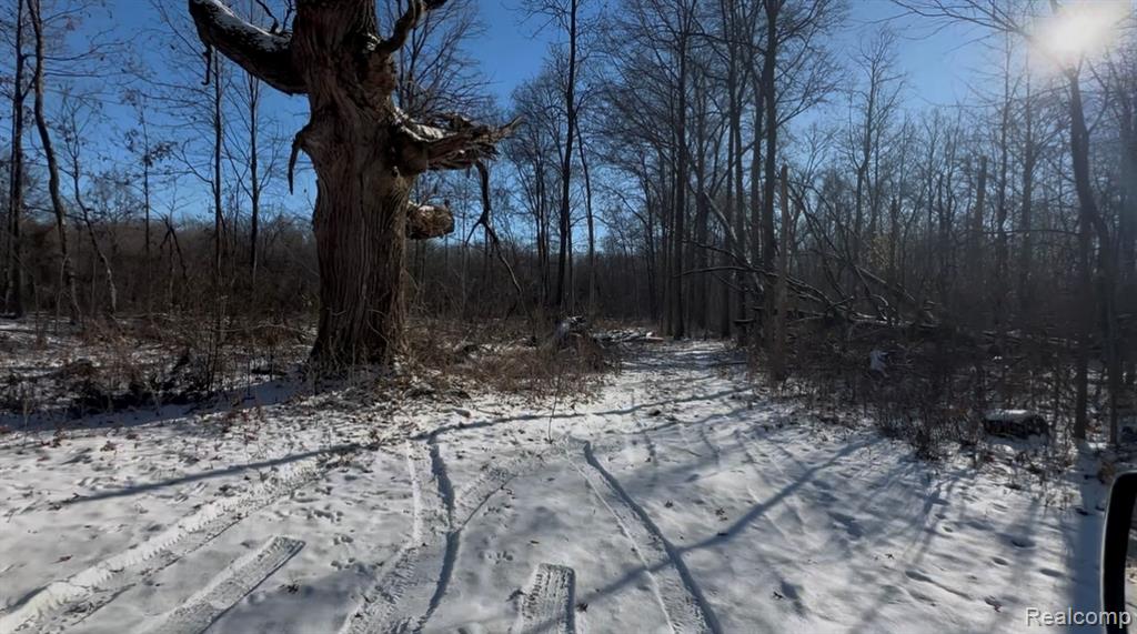 7021 Palms Road Road, MI — Photo 2