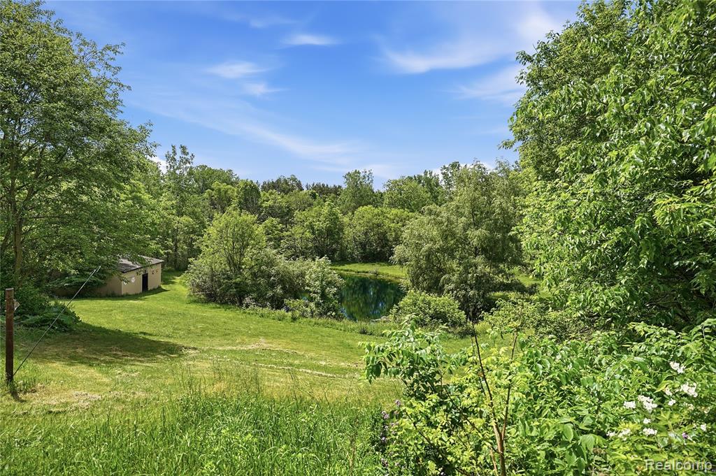 6790 Weyer Road, Imlay City, MI 48444 — Photo 30