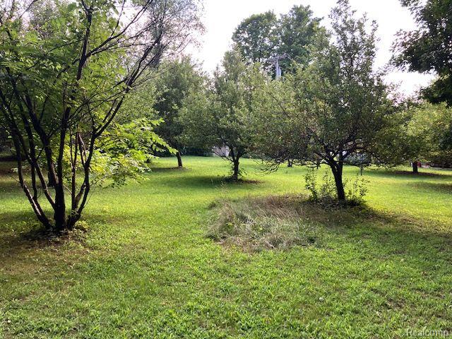 8084 JORDAN Road, Yale, MI 48097 — Photo 6