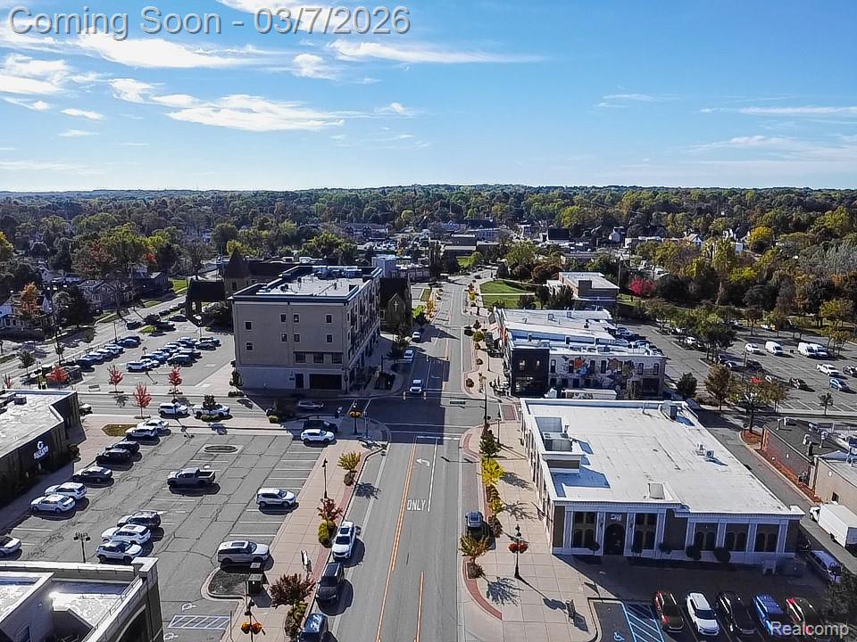 405 Lincoln Street, Fenton, MI 48430 — Photo 51