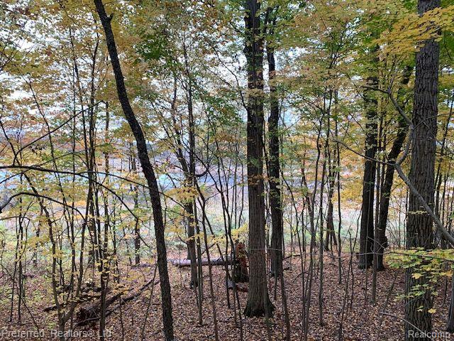 2451 HOG CREEK Road, Allen, MI 49227 — Photo 30