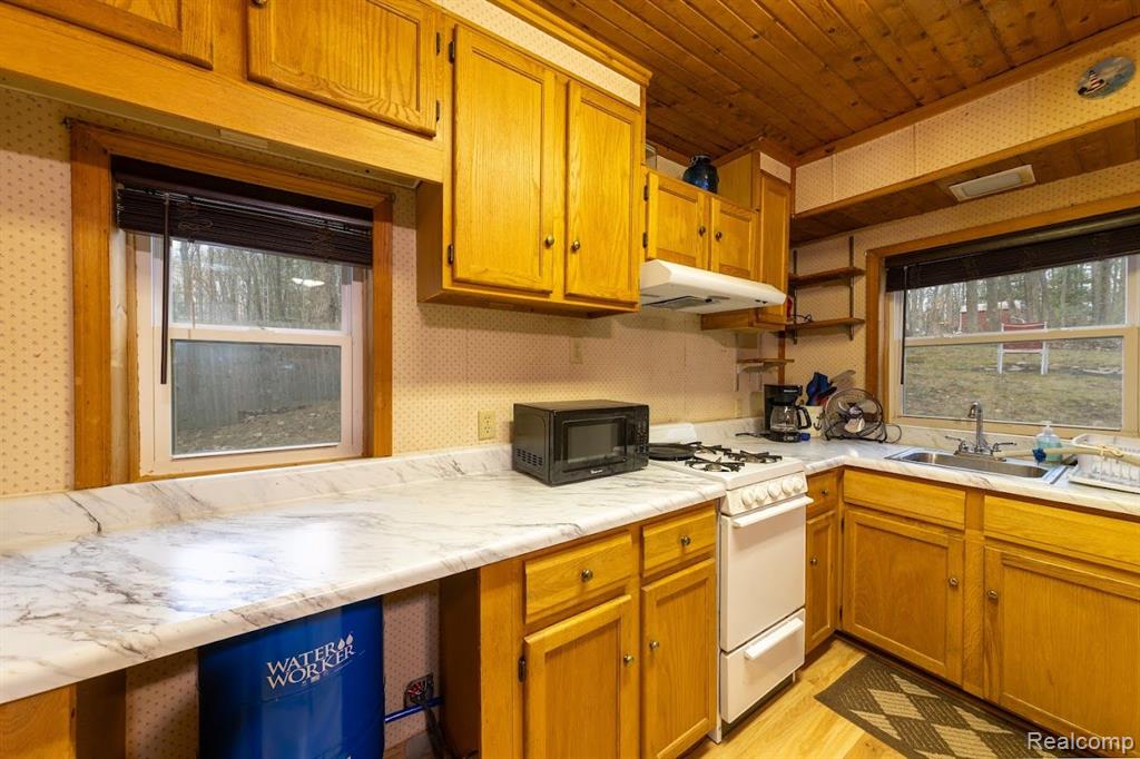 732 NORWAY Street, Harrison, MI 48625 — Photo 6