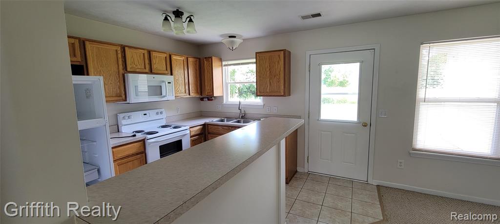 806 Cattail Lane, Pinckney, MI 48169 — Photo 14