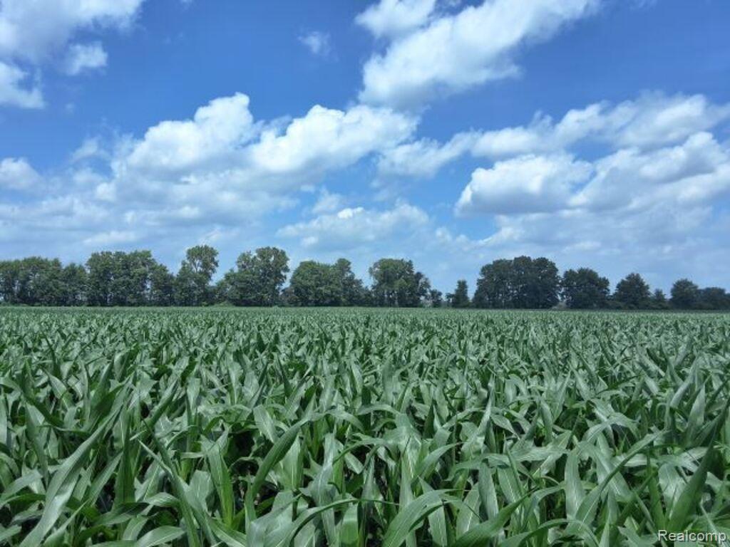 AUCTION Lot# 7 10 acres Capac Road, Capac, MI 48014 — Photo 3