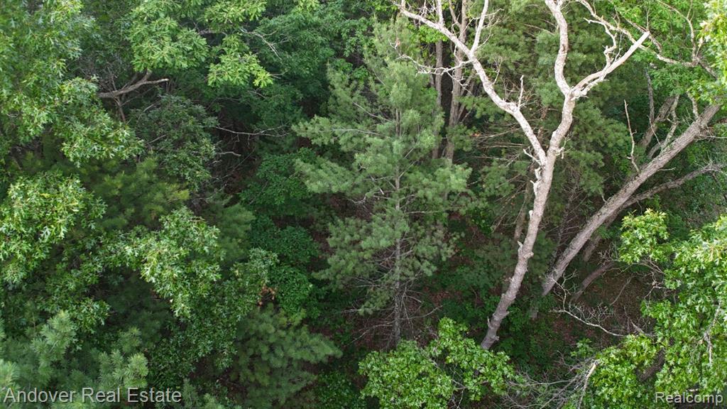 Nichols Road, Holton, MI 49425 — Photo 3