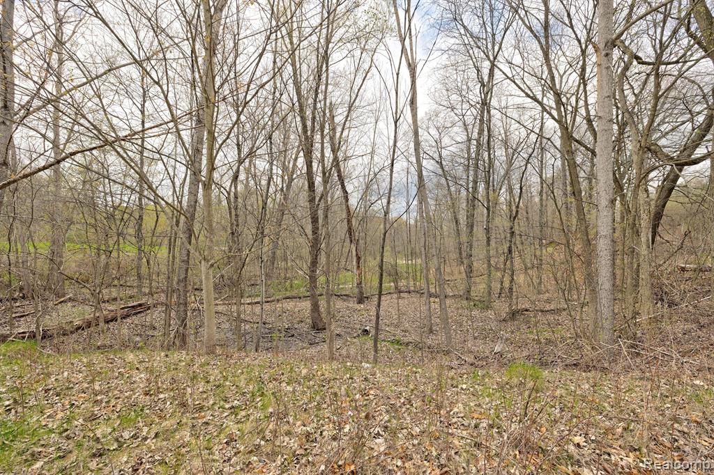 503 BLUEBIRD Trail, Ortonville, MI 48462 — Photo 33