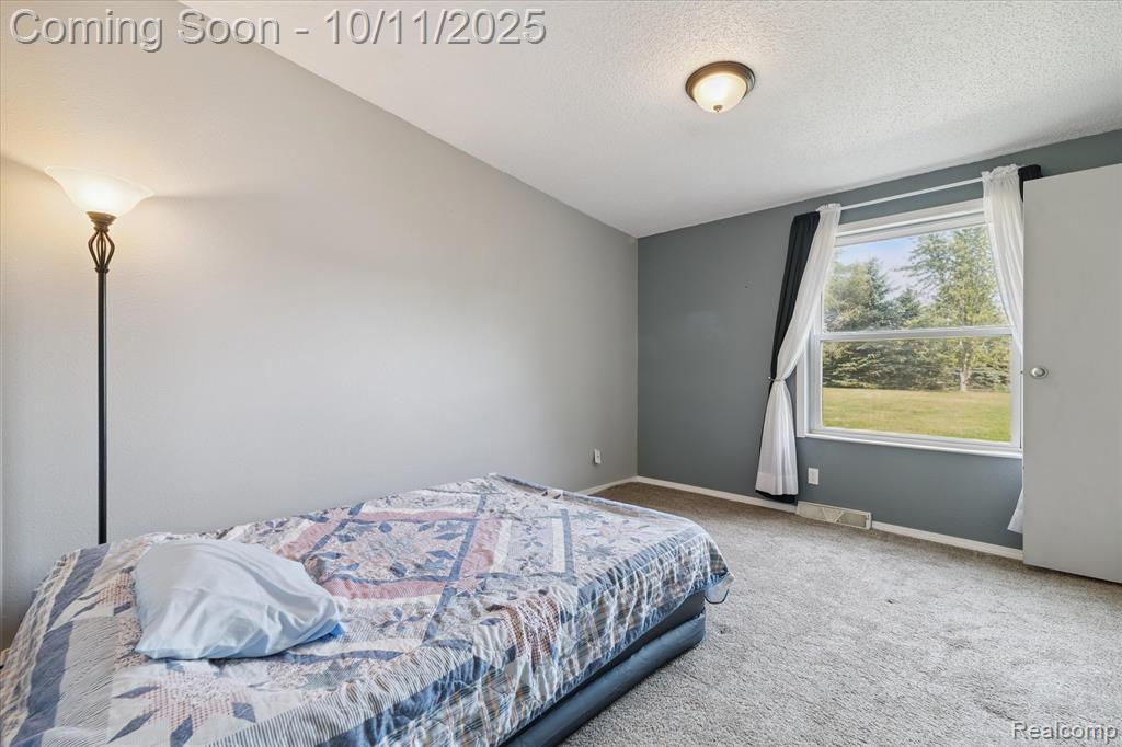 8168 Morrish Road, Swartz Creek, MI 48473 — Photo 27