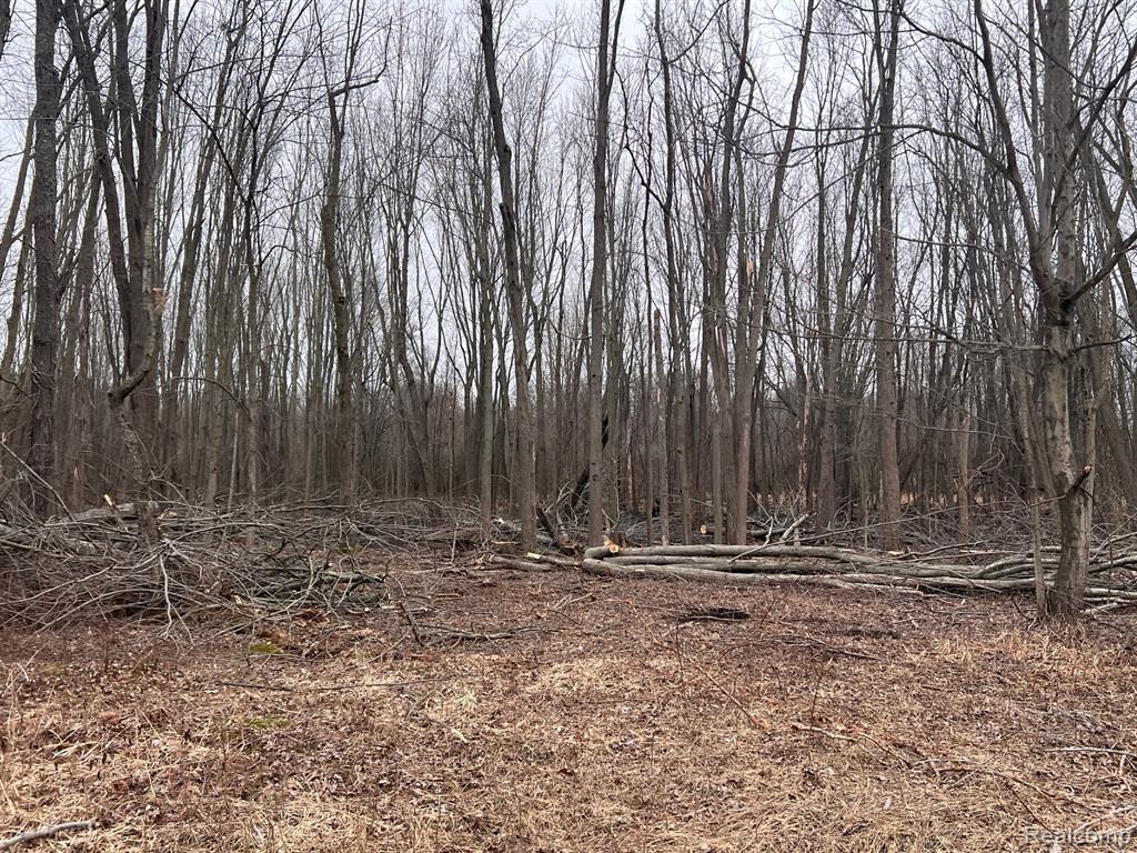 VL Washington Street, Perry, MI 48872 — Photo 17