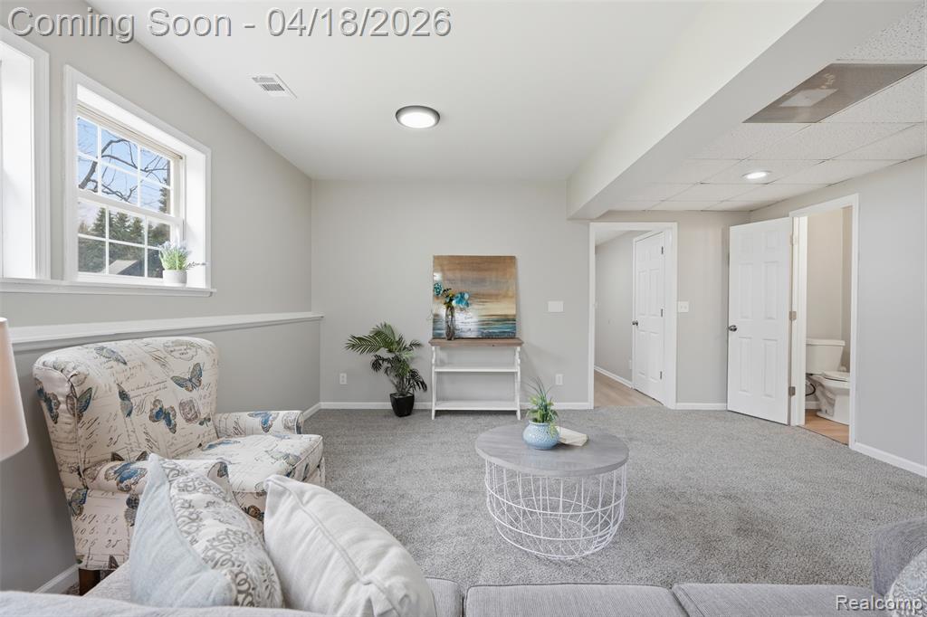 118 Gale Street, Morrice, MI 48857 — Photo 24