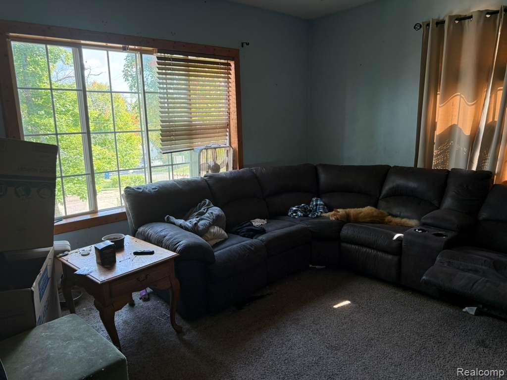 126 S Lincoln Street, Stanton, MI 48888 — Photo 2