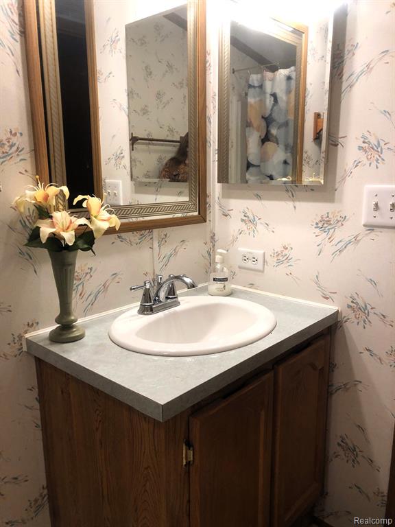 616 Holly Court, Jonesville, MI 49250 — Photo 10