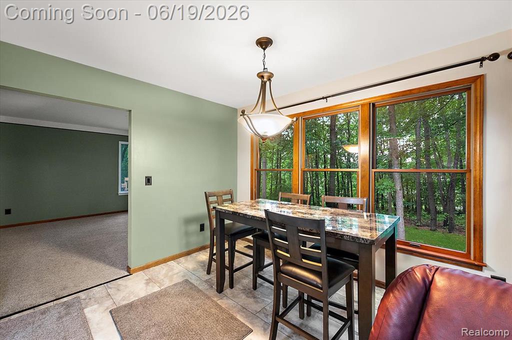670 Rolling Acres Drive, Ortonville, MI 48462 — Photo 15