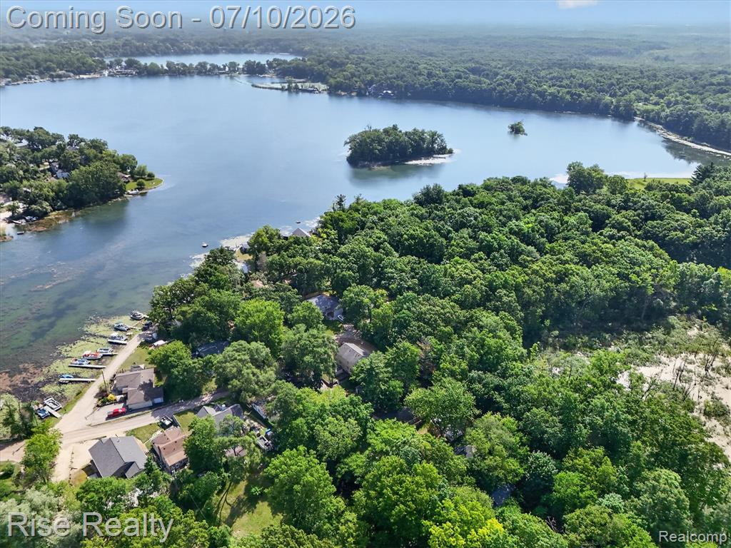 6560 Lowell Drive, Brighton, MI 48116 — Photo 31