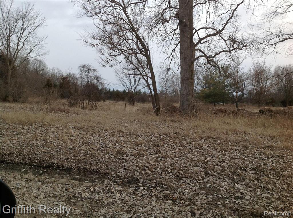 VL MASON RD, Howell, MI 48843 — Photo 4