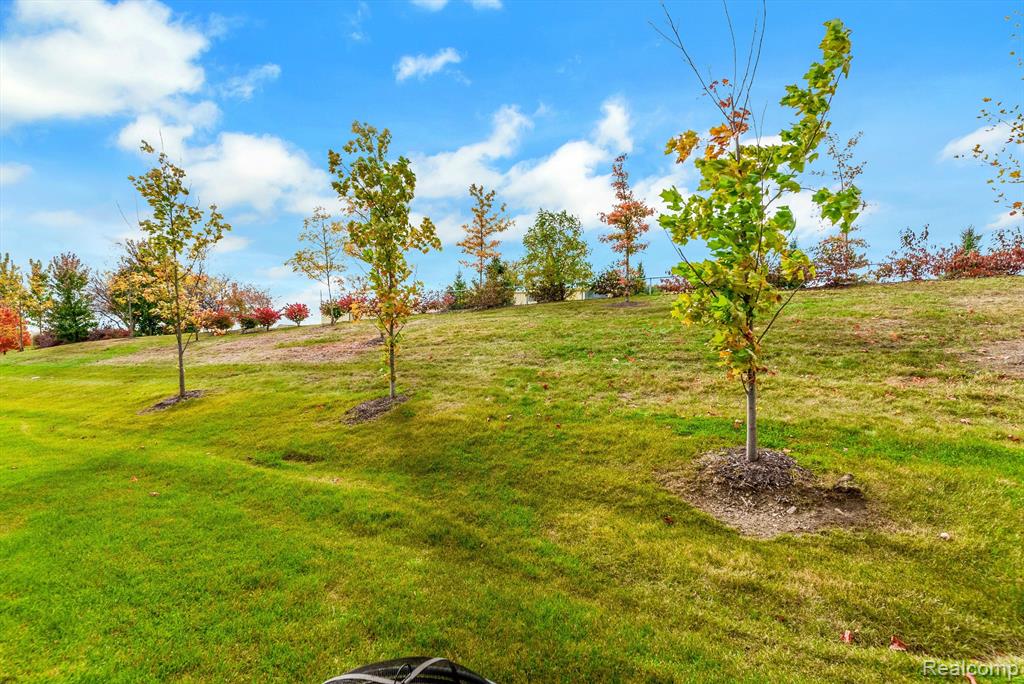4974 Glenora Drive, Lake Orion, MI — Photo 31