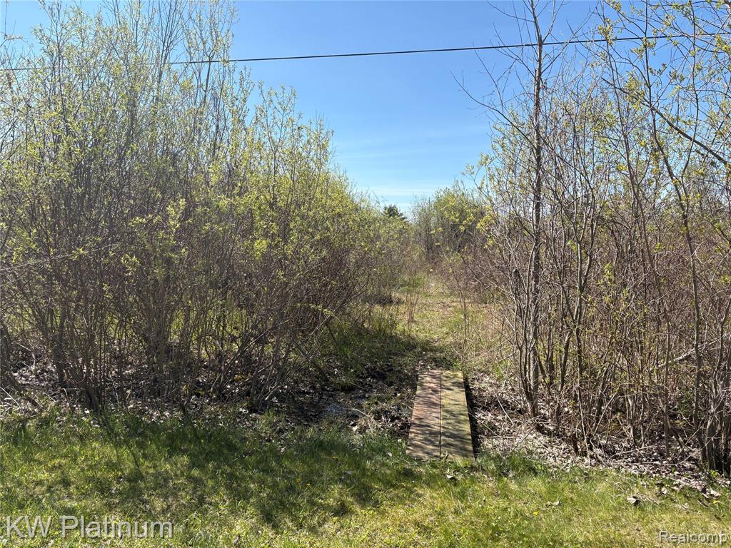 Parcel D Wicha Drive, Burtchville, MI 48059 — Photo 11