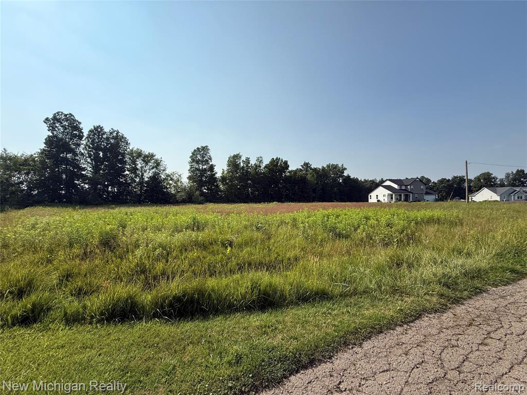 9807 Oak Ridge Road, New Lothrop, MI 48460 — Photo 3