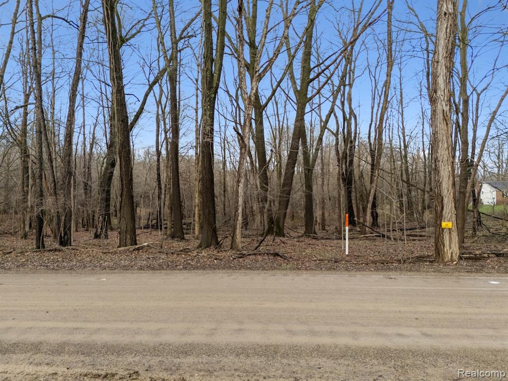 VL Pingree Road, Howell, MI 48843 — Photo 11