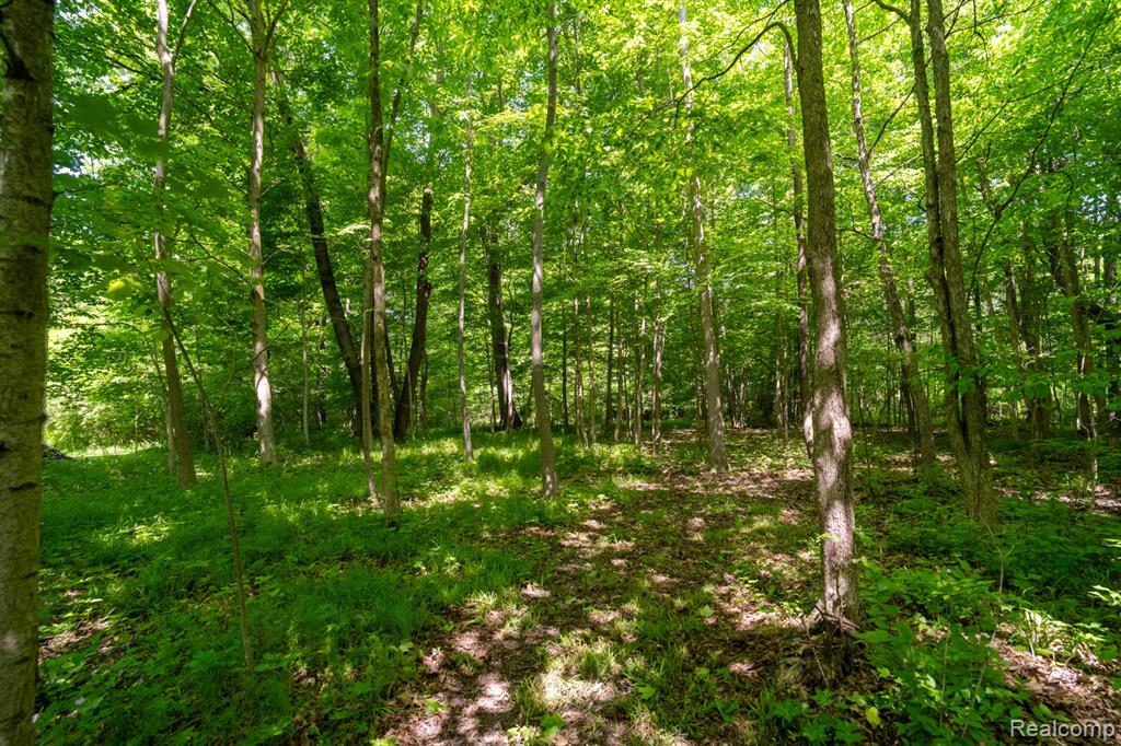 5177 Merwin Road, Lapeer, MI 48446 — Photo 51