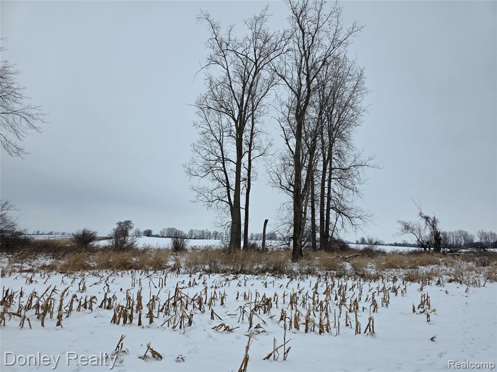 9999 Montgomery, Sanilac, MI 48453 — Photo 4