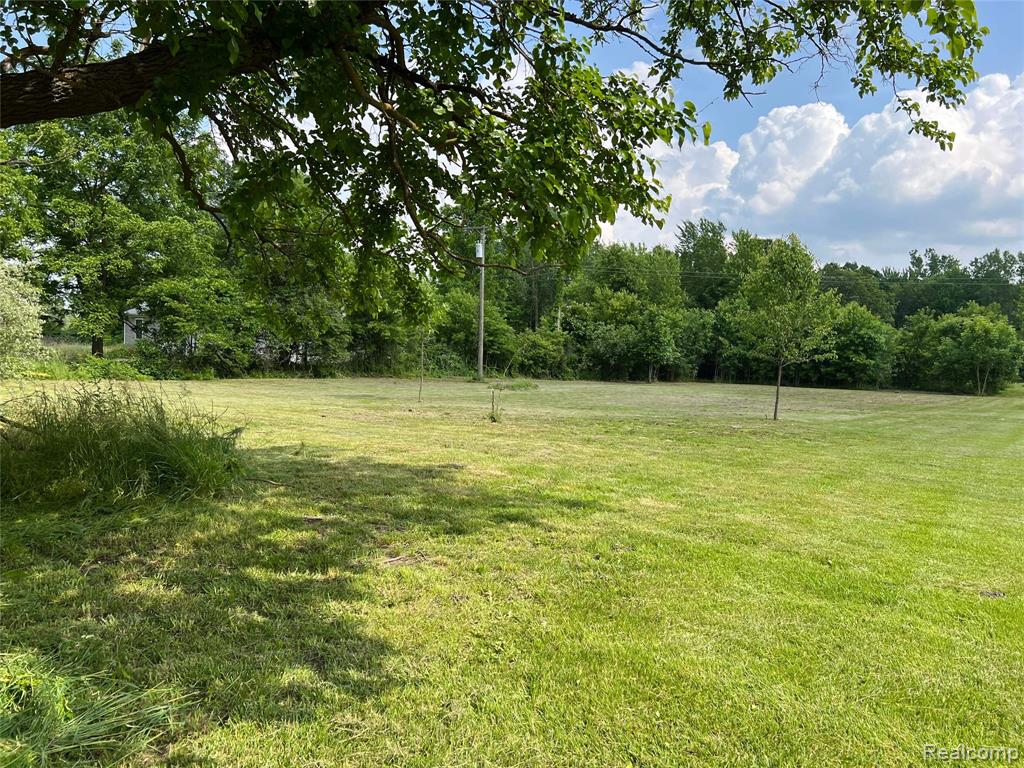 VACANT LAND Judd Road, New Boston, MI 48164 — Photo 4