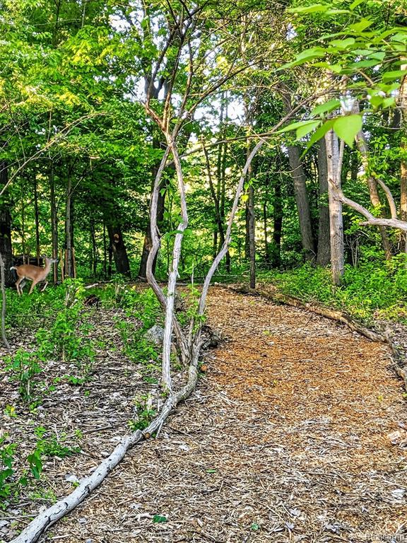 7186 River Road, Flushing, MI 48433 — Photo 46