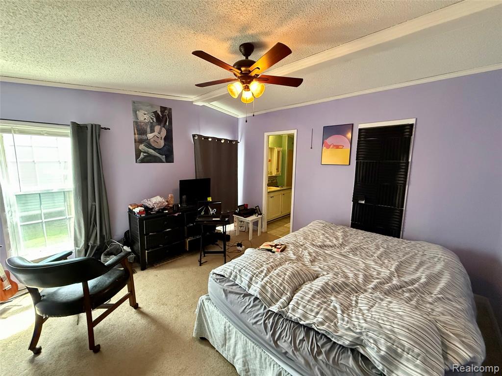 6988 Mckean, Ypsilanti, MI 48197 — Photo 13