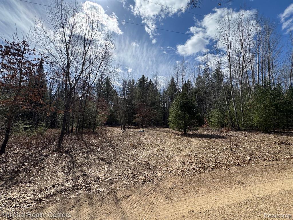 4233 Hardacre Trail, Houghton Lake, MI 48629 — Photo 37