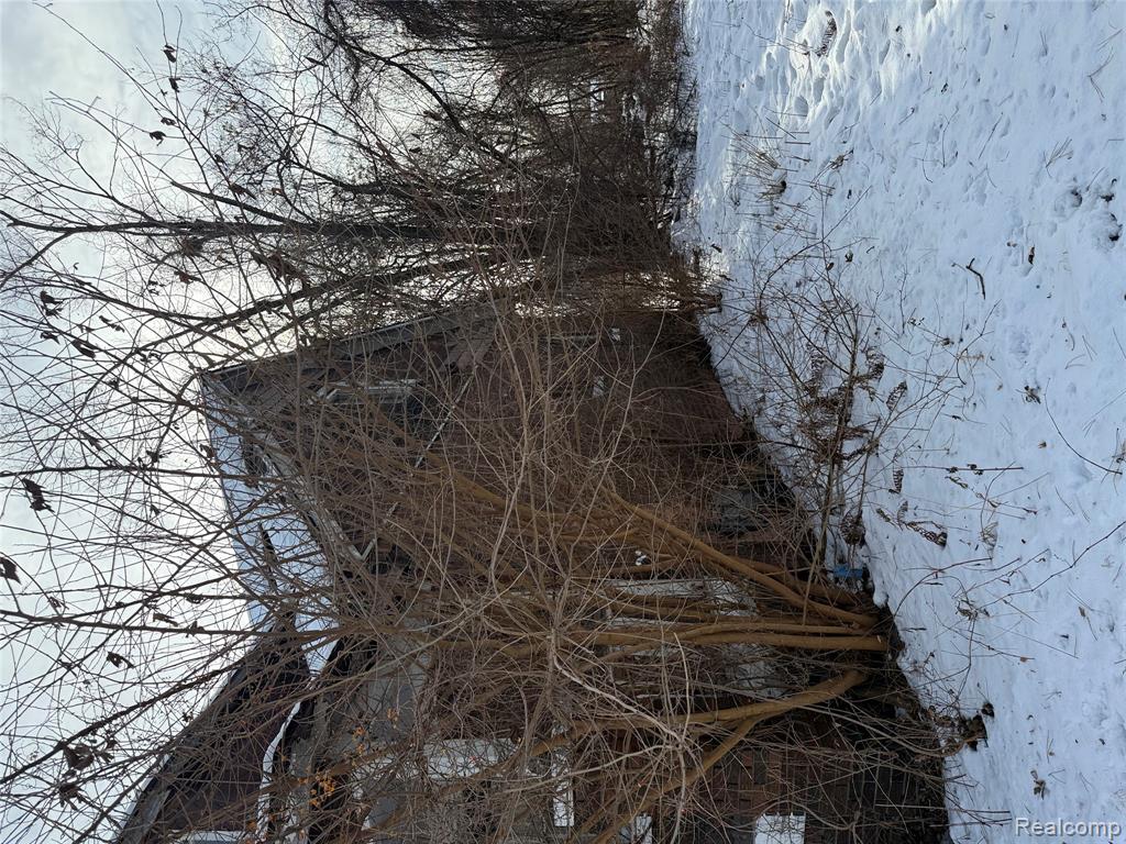 8611 Chalfonte Street, Detroit, MI 48238 — Photo 4