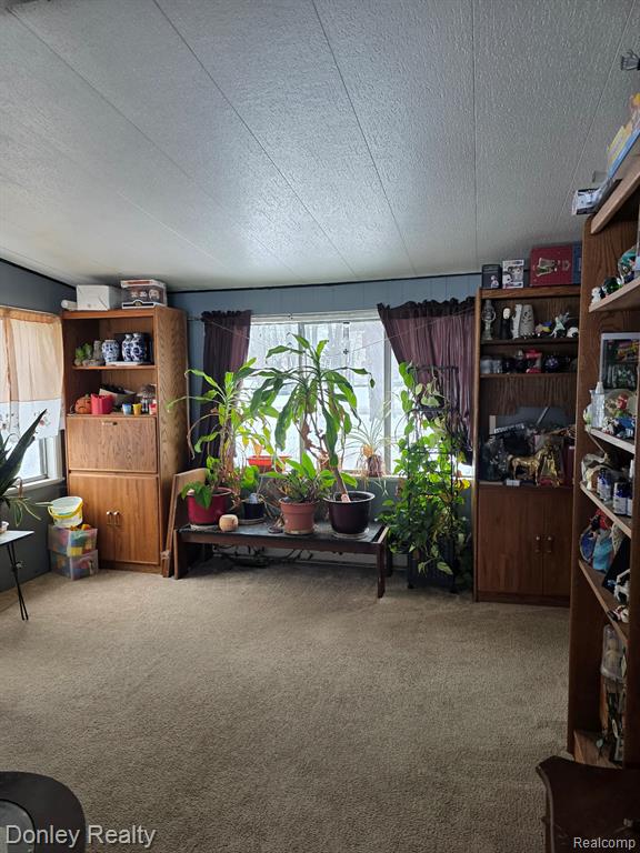 6174 Marlette Street, Marlette, MI 48453 — Photo 5