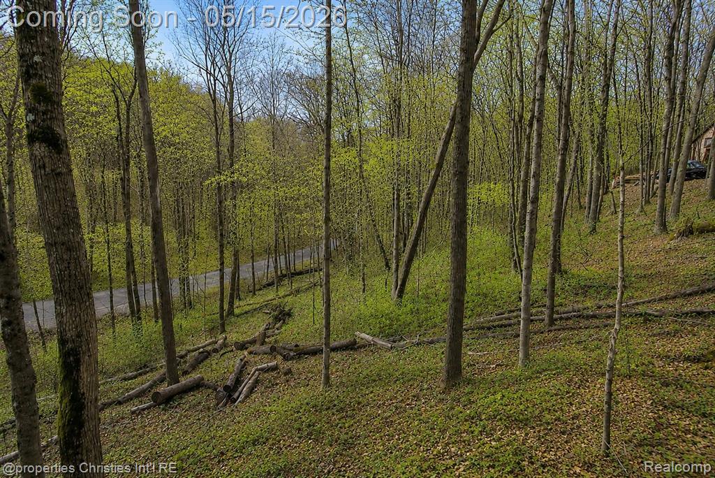 4001 Deskin Drive, Bellaire, MI 49615 — Photo 4