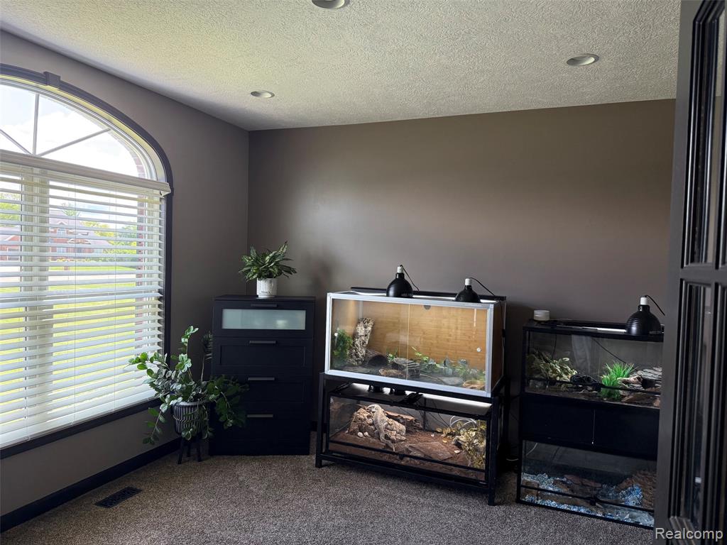 16118 Jeff Court, Grand Ledge, MI 48837 — Photo 32