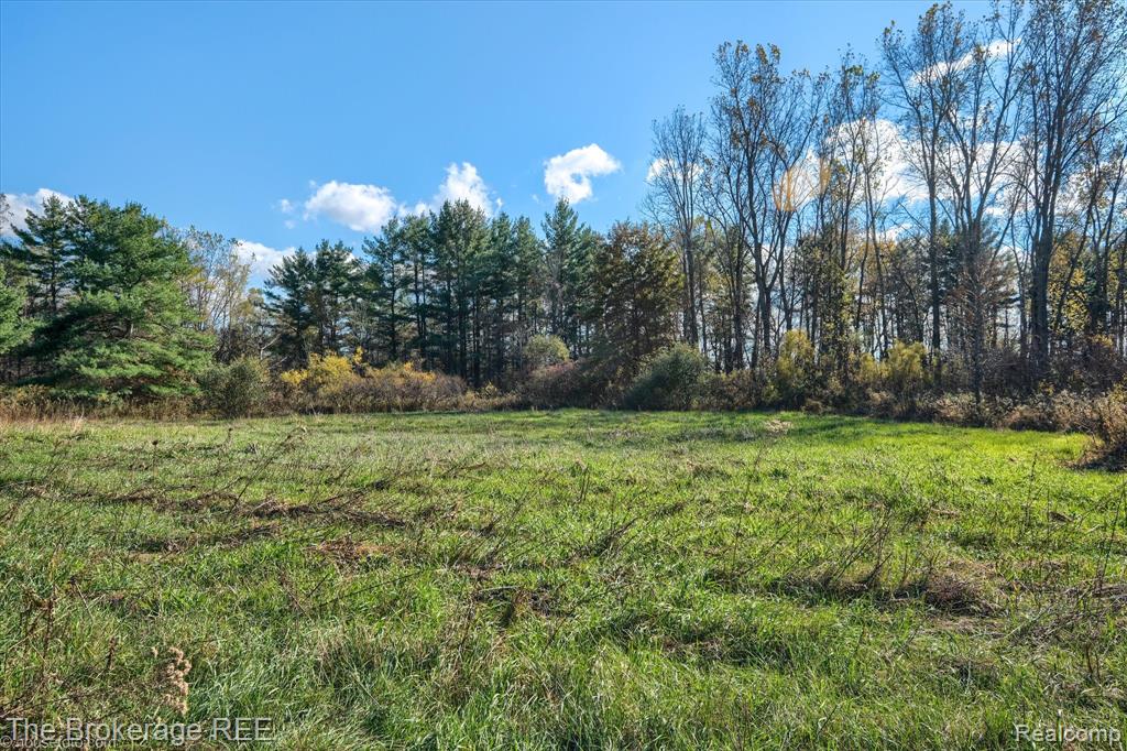 VL Janna Leigh Drive, Otter Lake, MI 48464 — Photo 11